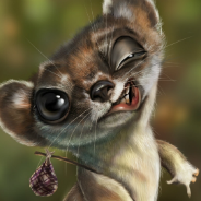 Winking Mouse Lemur