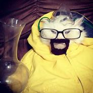 Walter White Cat
