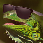 Iguana In Sunglasses