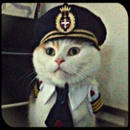 Captain Cat