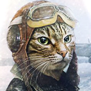 Aviator Cat