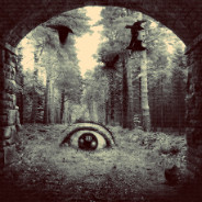 Eye In The Forest